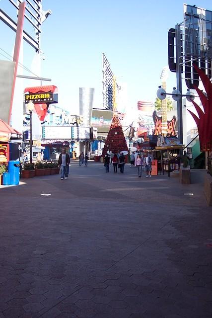 100_1417.jpg