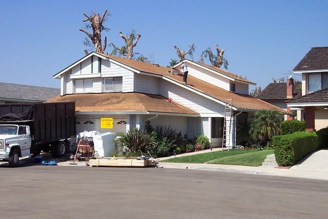 Replaced dry-rotted wood around edges of roof with new wood