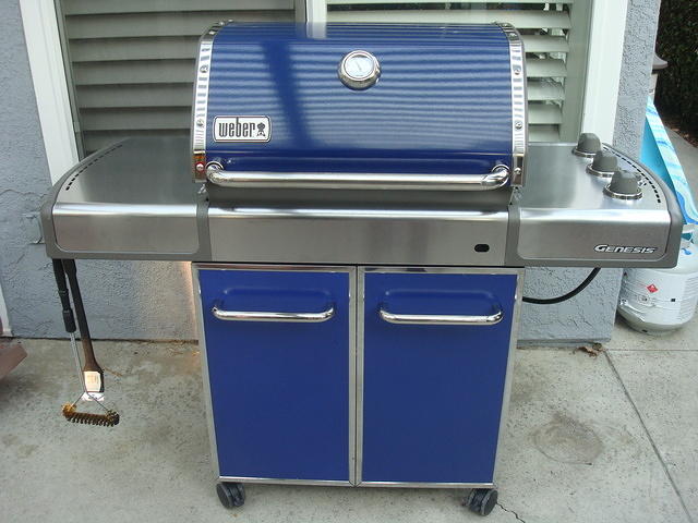 Weber E-310 Grill