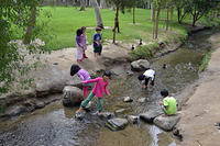 DSC_0250_edited-1
