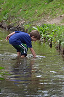 DSC_0332_edited-1-1