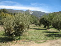 IMG_3767.JPG