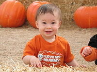 Pumpkin Patch