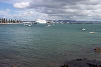 Tauranga harbour